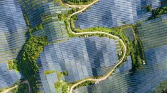 “没有美国，行动也不会停”